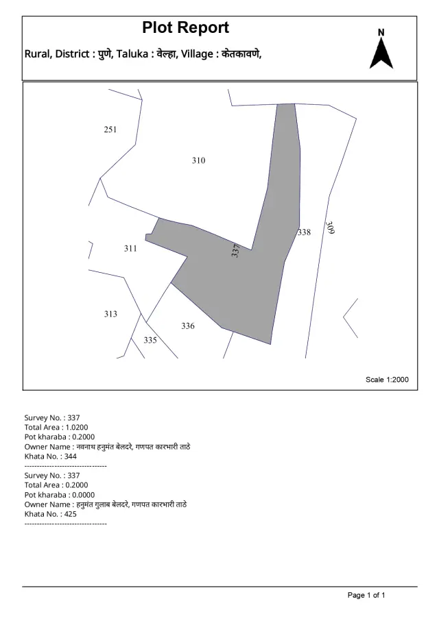 Plot Report (Survey Map)
