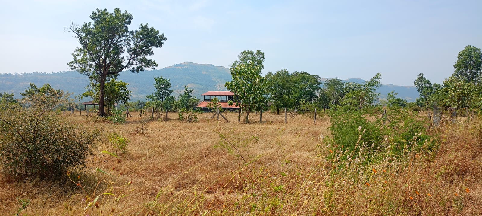 Ketkawne Vangni, Velhe, Pune