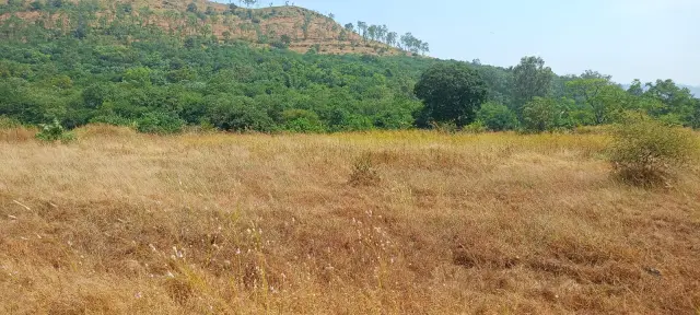 Nigde Ketkawne site photo 4