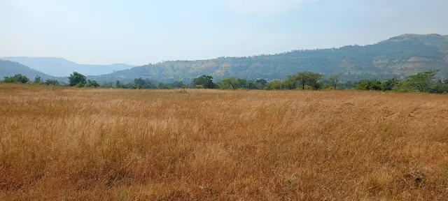 Nigde Ketkawne site photo 6