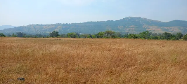Nigde Ketkawne site photo 8