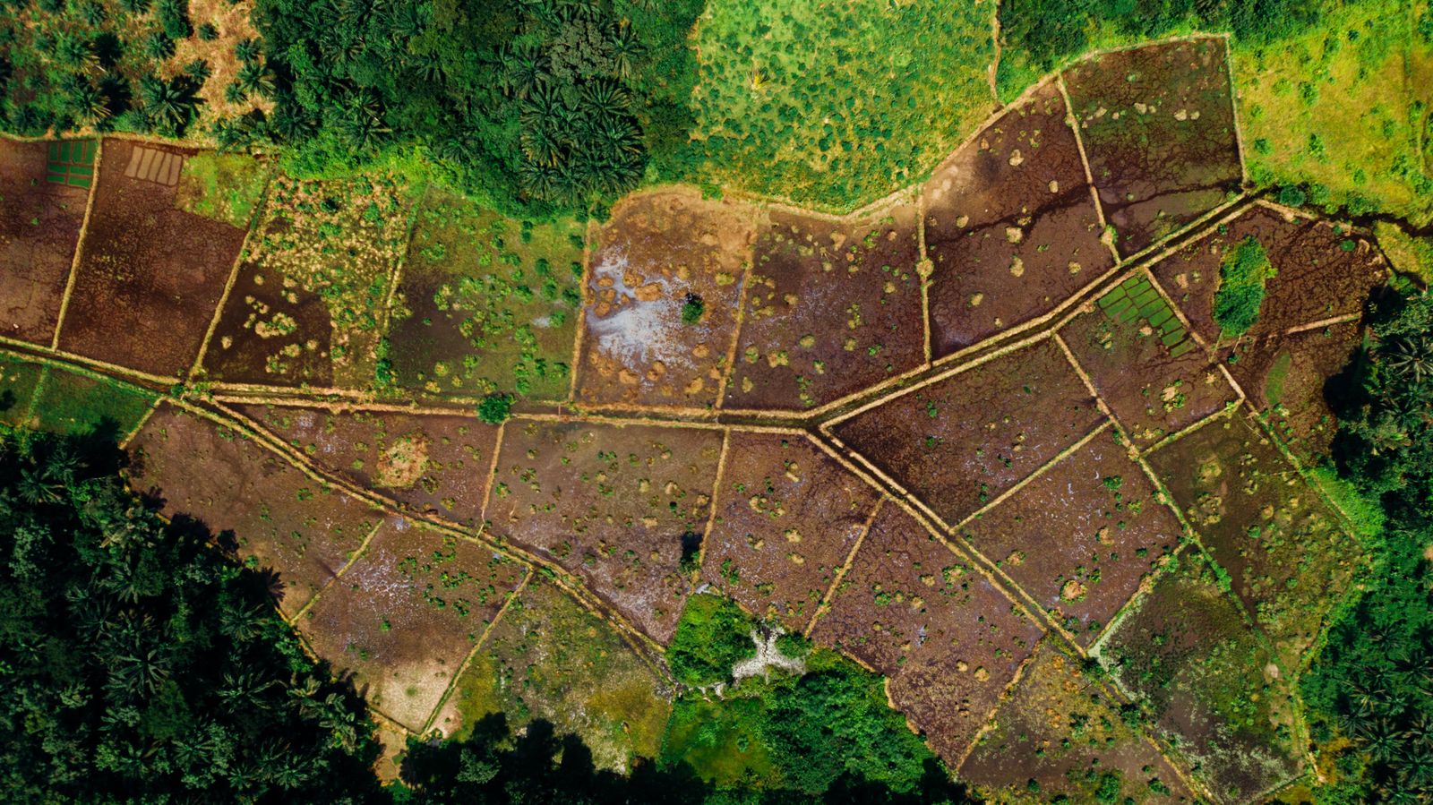 Aerial view of an Infinity Realty plot development